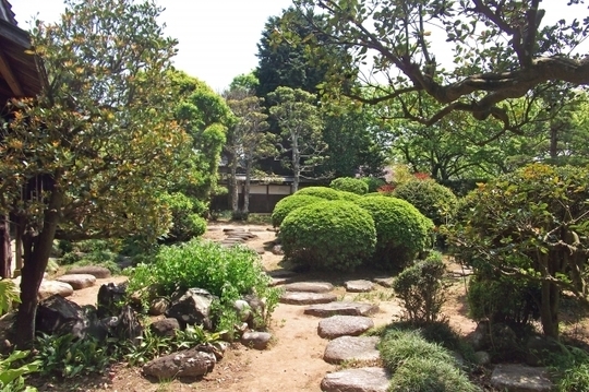 西宮市：剪定の専門家 植木屋一番星